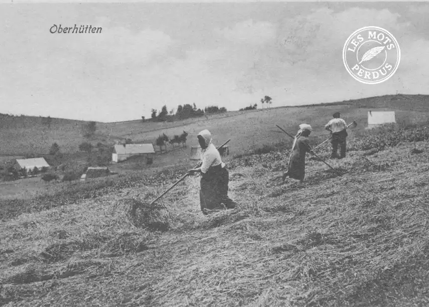 Orbey, carte postale ancienne des Hautes Huttes